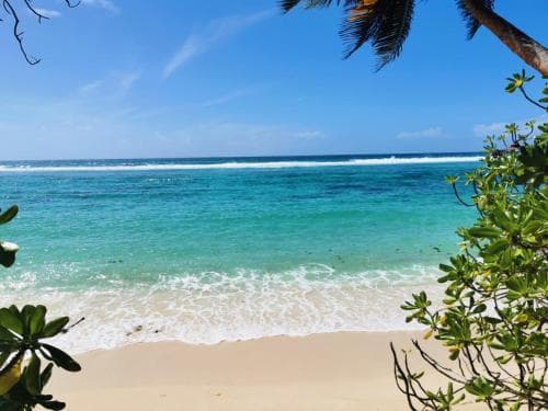 Chalet Anse Forbans