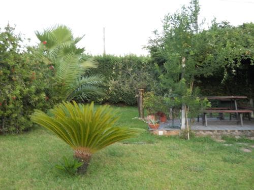 Oasi Verde