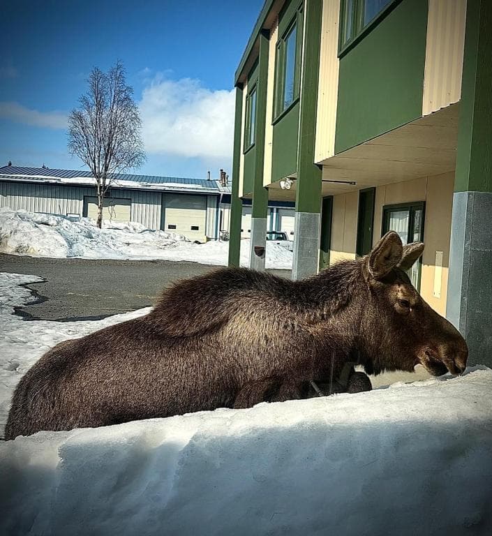 The Kenai Inn