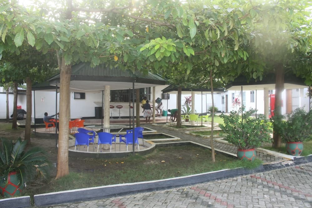 A serene outdoor seating area under lush trees features colorful chairs and tables, ideal for relaxing or dining in a tranquil garden setting.