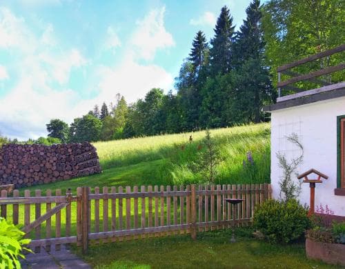 Schwarzwald-Chalet Feldberg