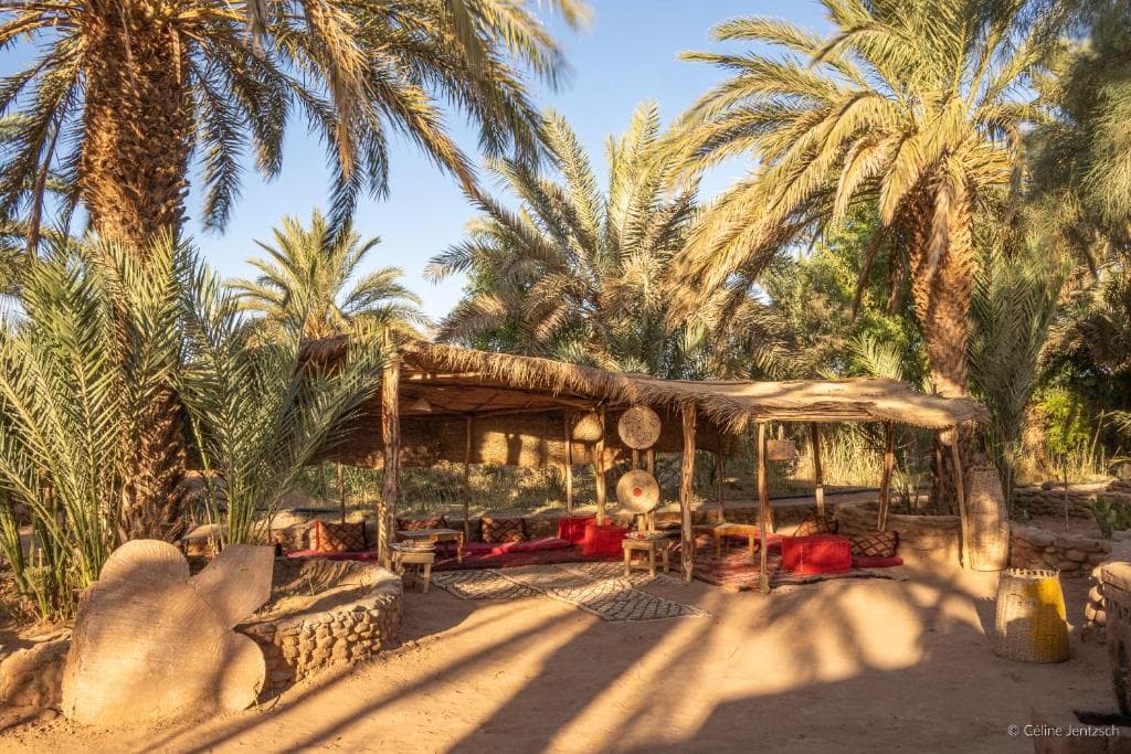 Oasis source de vie