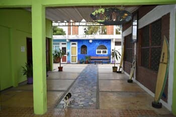 A vibrant courtyard with colorful walls, tiled pathways, potted plants, and a surfboard creates a relaxed tropical vibe, ideal for travelers seeking a cozy hostel experience.