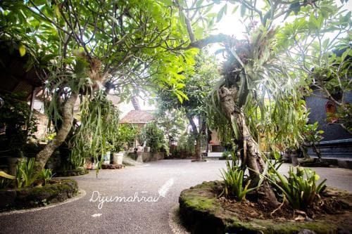 Dijumahrai Homestay
