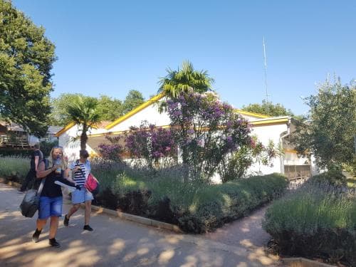 Camping Bijela Uvala