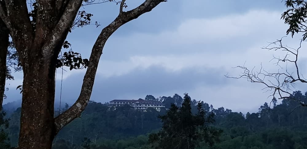 Standard Double Room wayanad
