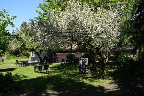 Lucys Inn 