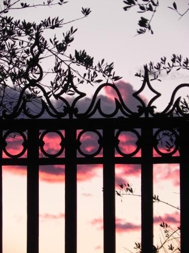 Il Giardino Delle Esperidi