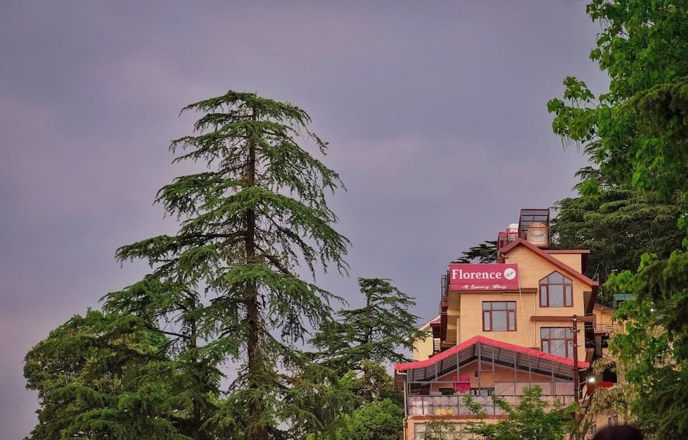 Florence B&B