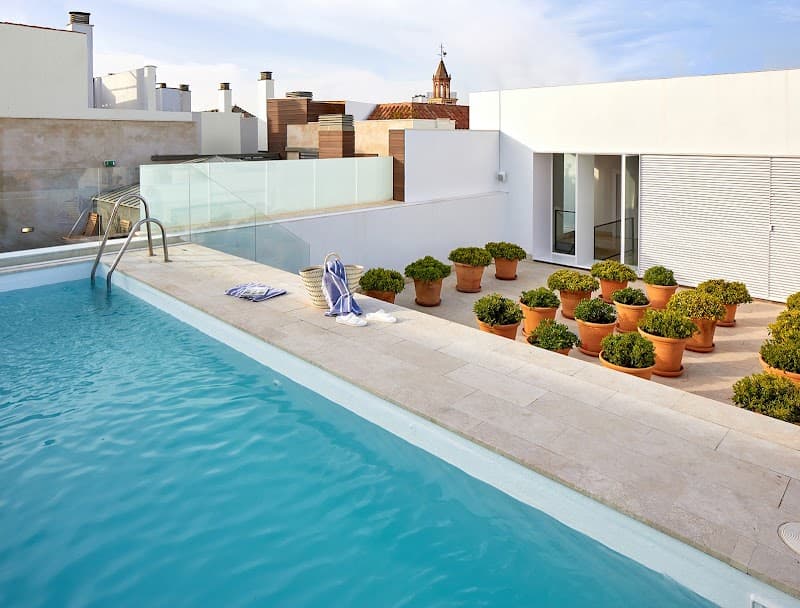 A serene rooftop pool at Hotel Rey Alfonso X Sevilla offers a tranquil retreat with turquoise waters, potted greenery, and panoramic views of the historic Casco Antiguo, ideal for travelers seeking relaxation in a charming Spanish setting.