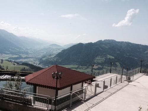 Der Hahnbaum