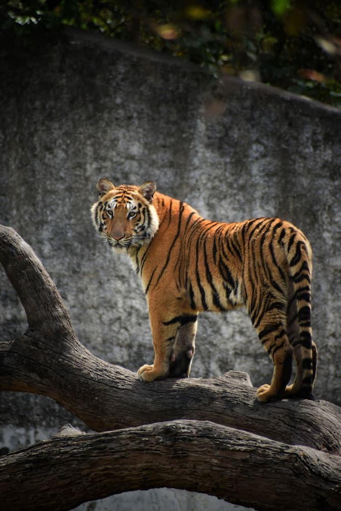 Hotel ReBirth