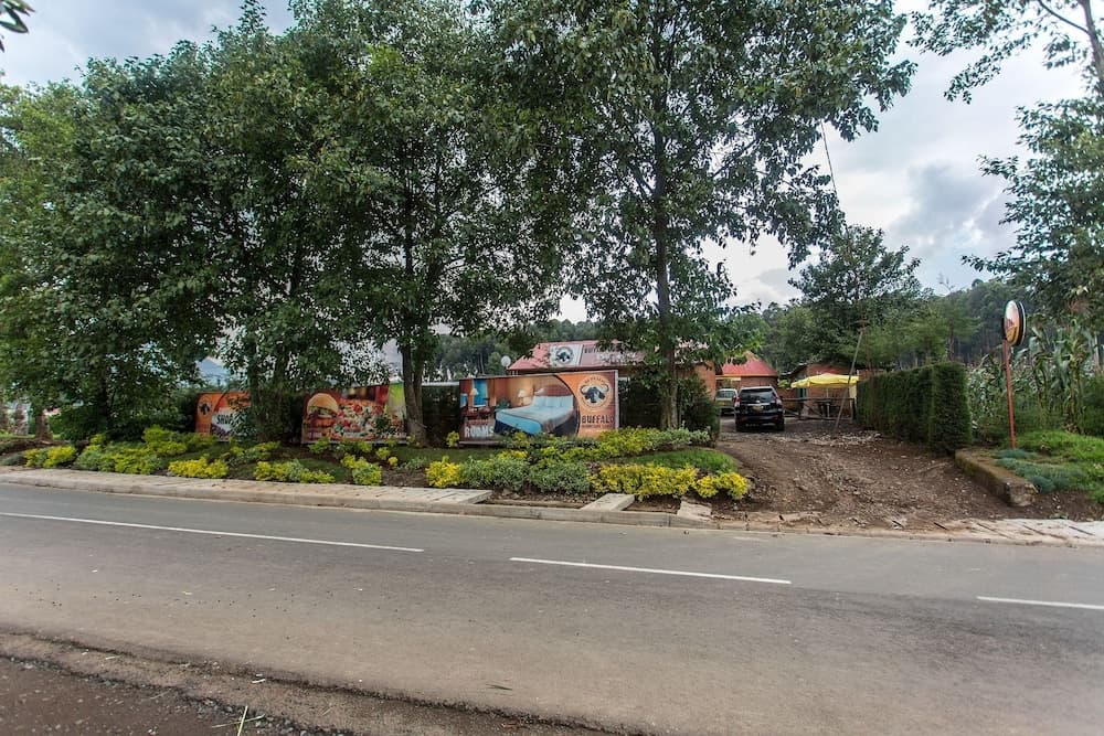 Buffalo Mountain Lodge