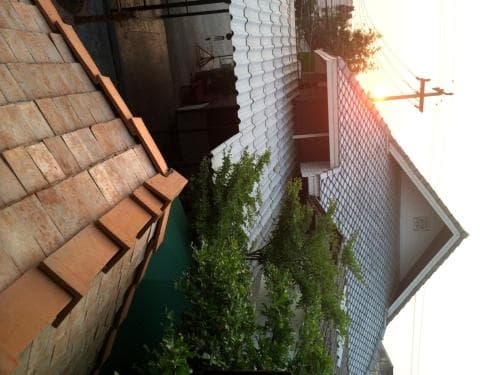 A serene rooftop scene at sunset showcases traditional tiled roofs, lush greenery, and a tranquil residential atmosphere, ideal for travelers seeking cultural immersion in an authentic neighborhood setting.
