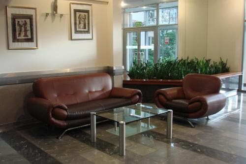A cozy hotel lobby features plush leather sofas, a glass coffee table, framed artwork on the walls, and lush greenery by the window, creating a welcoming atmosphere ideal for travelers seeking relaxation.