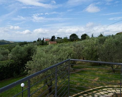 Oliveta