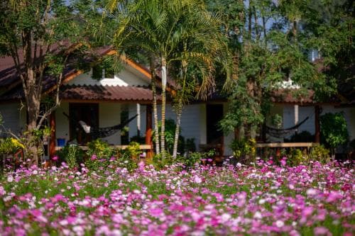 A serene tropical retreat features a vibrant field of pink cosmos flowers in front of a cozy bungalow surrounded by lush greenery, perfect for a relaxing vacation escape.