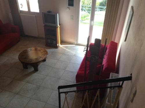 Dogis Resort