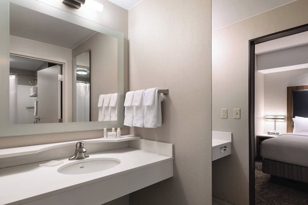 Springhill Suites by Marriott Syracuse Carrier Circle