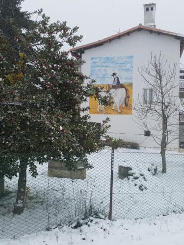 Fattoria La Cona