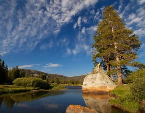 Yosemite Riverside Inn
