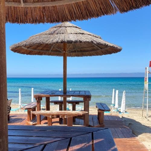 A serene beachside setting features wooden picnic tables under straw umbrellas, overlooking turquoise waters, ideal for relaxing seaside dining experiences.
