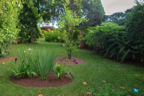 Bluemonkey Guesthouse