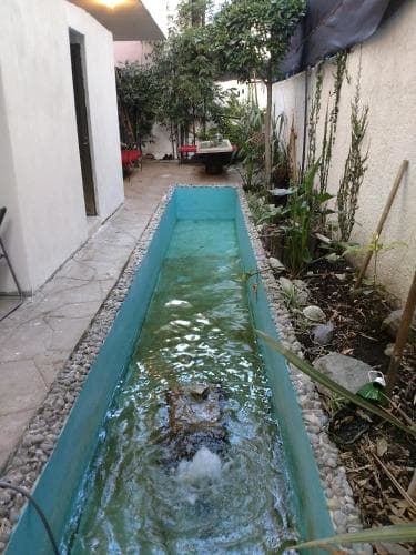 Casa Zen
