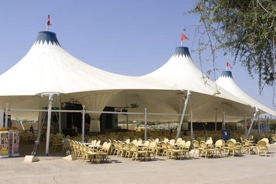 Globales Bouganvilla