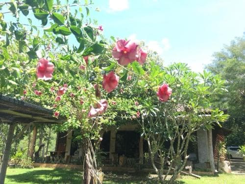 A serene tropical retreat features a rustic house shaded by vibrant pink flowers and lush greenery, ideal for a peaceful vacation escape.