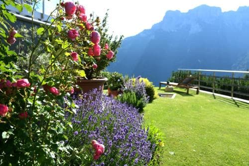 B&B Fior