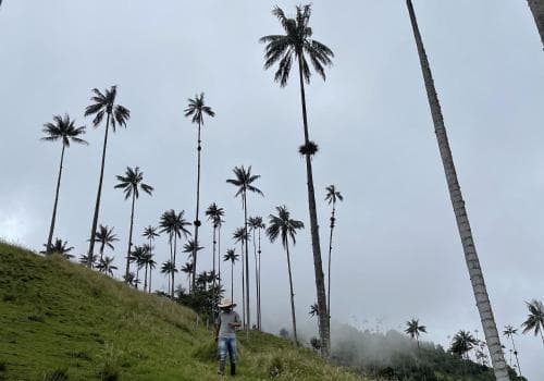 Finca la Holanda
