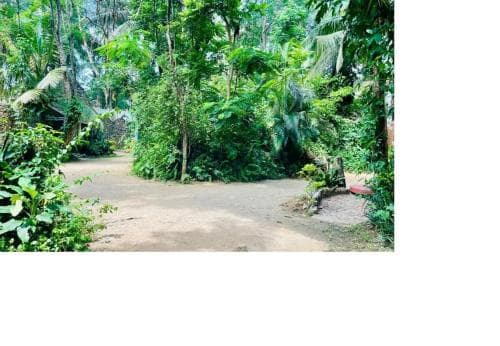 Advaitha Serenity Resorts