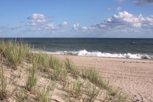 Beachcomber At Montauk