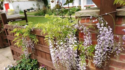 The Pebbles Cottage