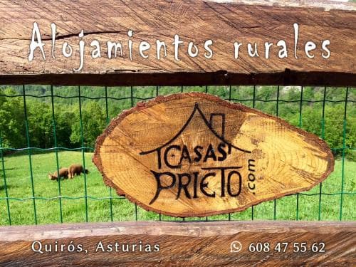 Casa Prieto IV