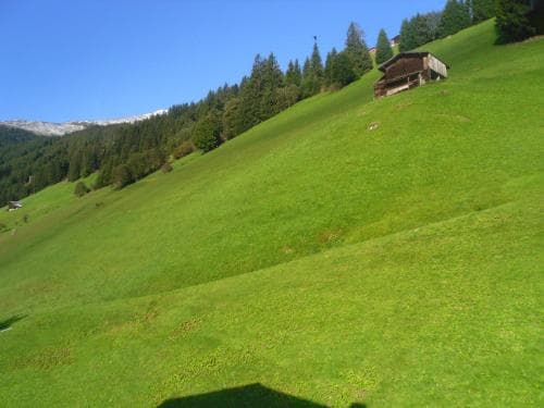 Grünwaldhof