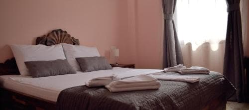 Hotel Vir