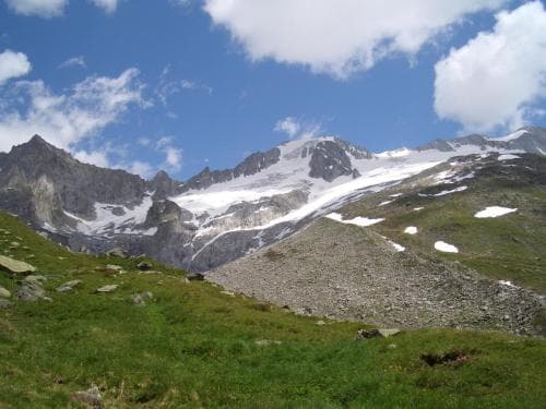 A serene alpine meadow with lush green grass and scattered rocks leads up to majestic snow-capped mountains under a bright blue sky, ideal for hiking and nature photography enthusiasts.