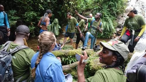 A lively group of adventurers explores a lush tropical rainforest stream, surrounded by dense greenery, creating an adventurous and educational atmosphere ideal for eco-tourism enthusiasts.
