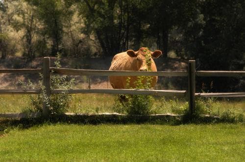 Willow Pond Bed & Breakfast