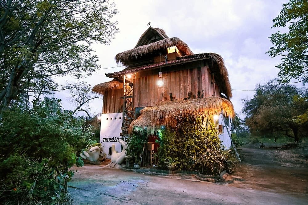 The Rabbit Tree Hostel