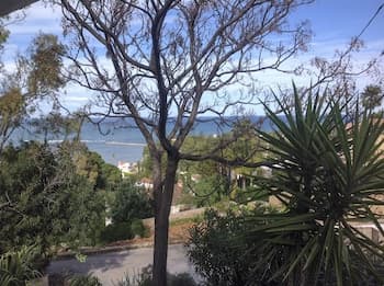 A serene coastal overlook features lush greenery, spiky plants, and distant white houses against a calm sea, ideal for tranquil nature escapes and scenic photography.
