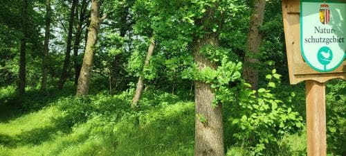 Moorbad Gmoes