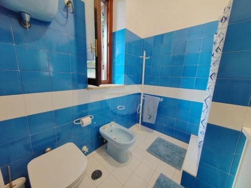 La Tortora