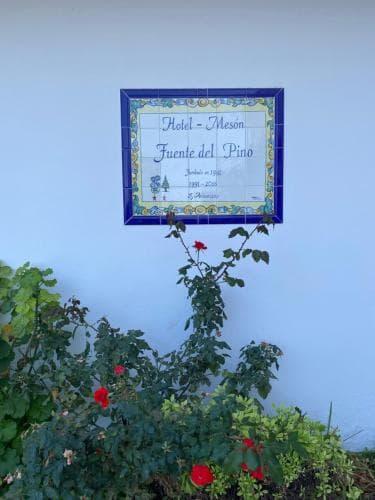 Fuente del Pino .