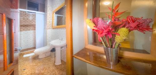 Copasu Hotel