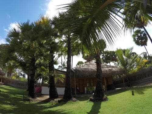 Cocoon B&B