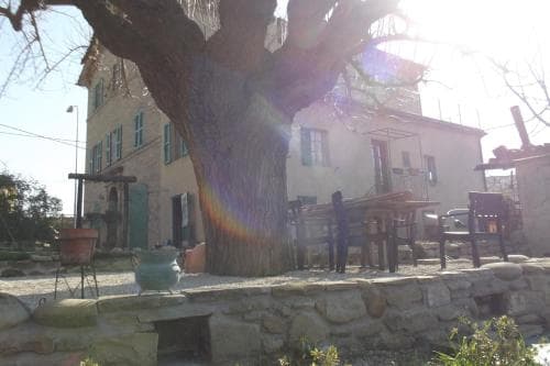 A serene countryside retreat features a rustic stone patio shaded by an ancient tree, with wooden tables and chairs inviting travelers to relax and enjoy the tranquil ambiance of a quaint rural inn.