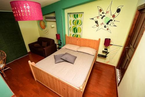 B&B Agave 64